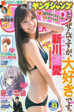 公安局长 电视剧